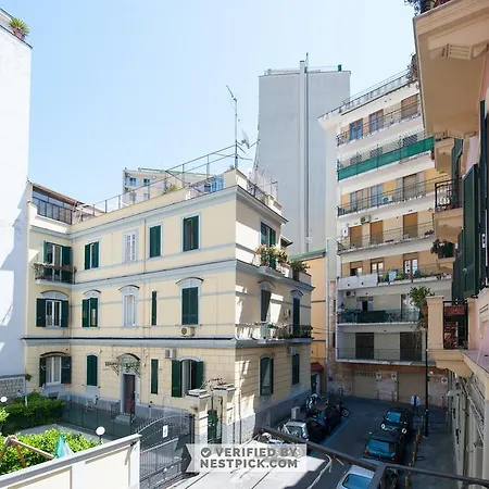 Cammarano 12 *